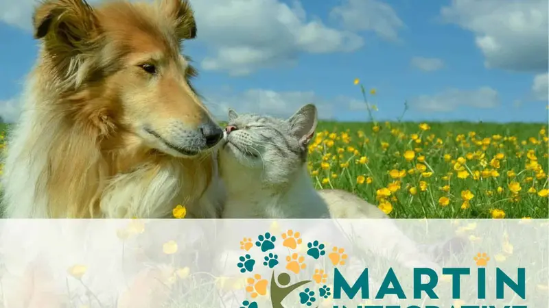 Martin Integrative Animal Clinic preview