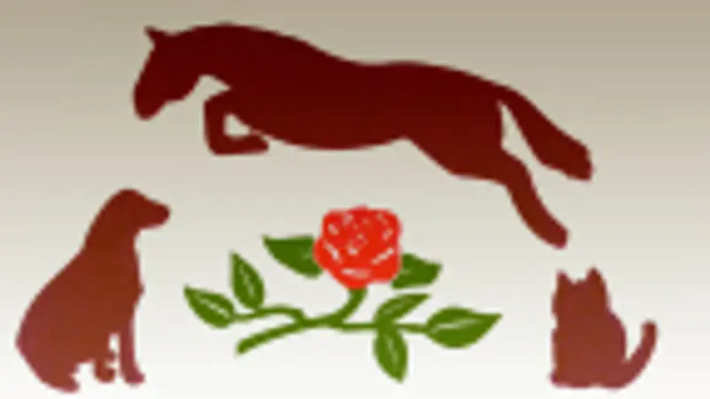 Rosedale Veterinary Hospital preview