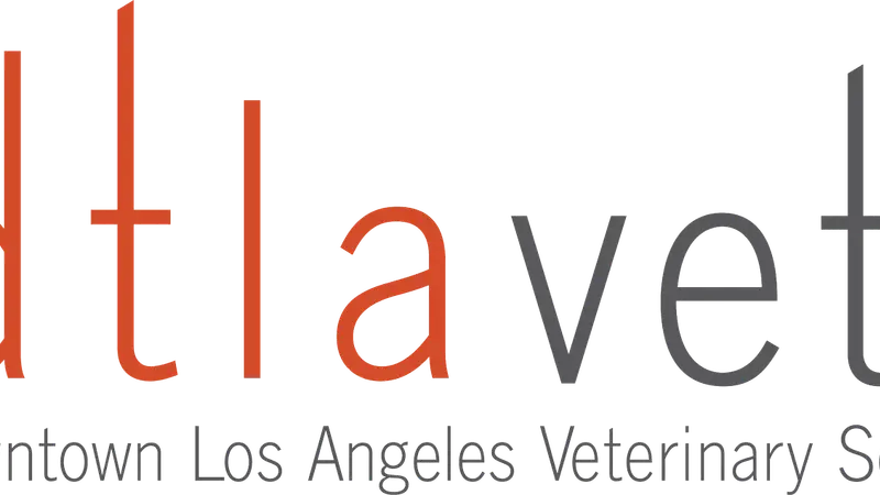 DTLAvets preview