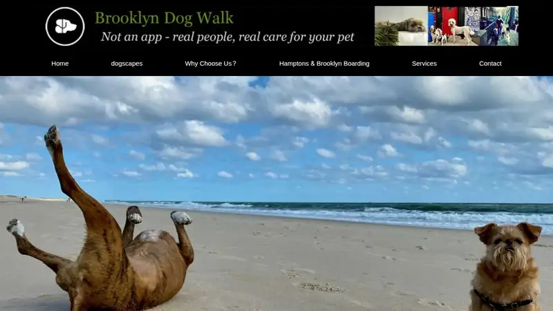 Brooklyn Dog Walk preview