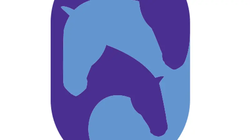 DeClue Equine preview