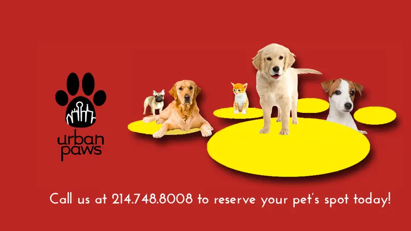 Urban Paws preview