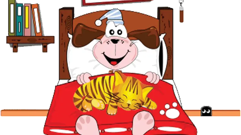 Comfort at Home Pet Services preview