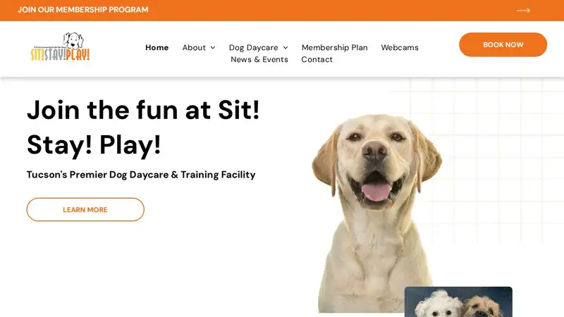 Sit Stay Play preview