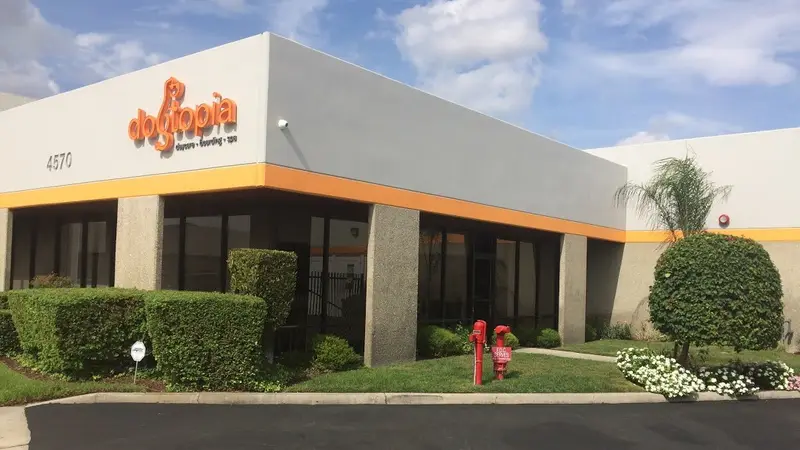 Dogtopia of Anaheim Hills preview