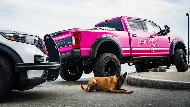 Bombshell K9 Training and Boarding preview