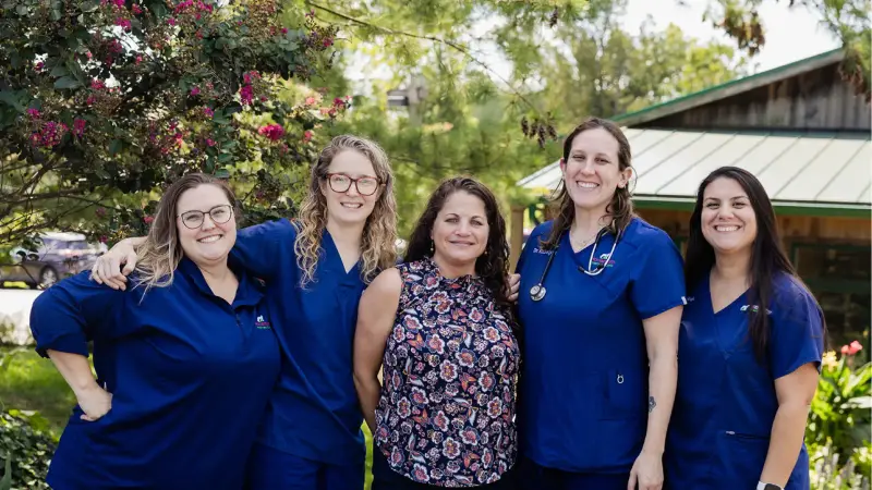 Mixed Pet Veterinary Hospital preview