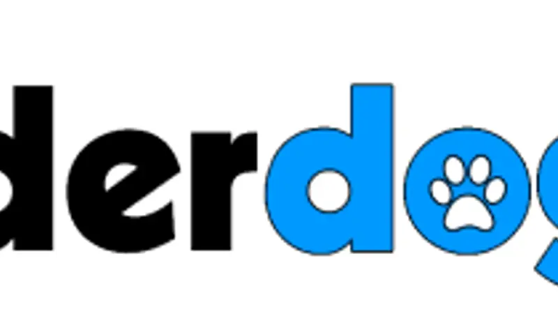 Wonderdog Merrimon preview