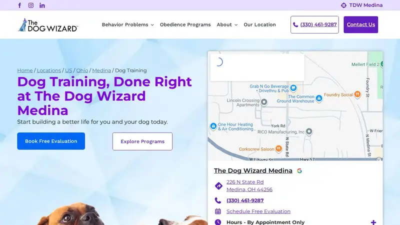 The Dog Wizard Medina preview