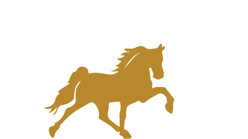 Copper Top Stables, LLC preview