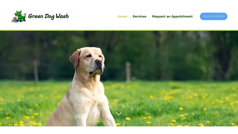 Green Dog Wash preview