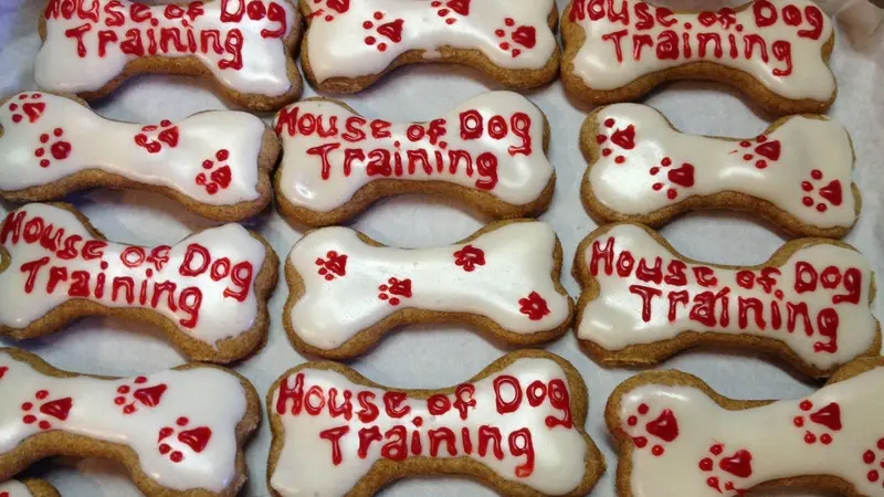 House of Dog Training Studio preview