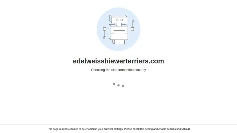 Von Edelweiss Biewer Terriers & Bolonkas preview