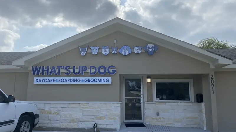 What's Up Dog preview