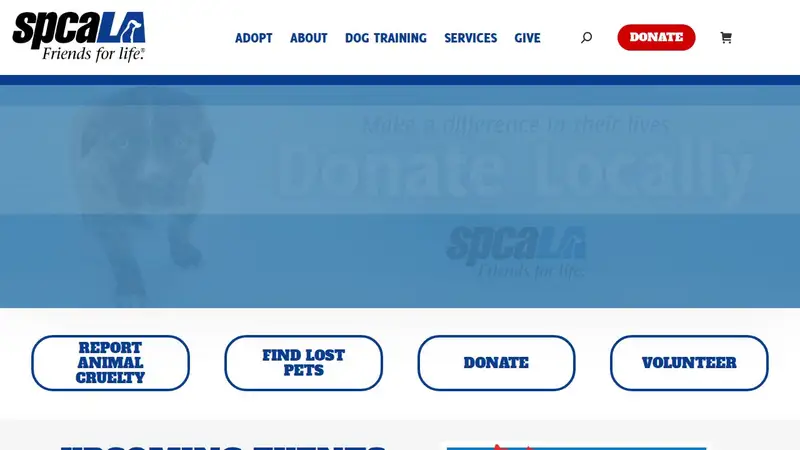 SpcaLA preview