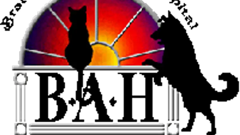 Bradfordville Animal Hospital preview