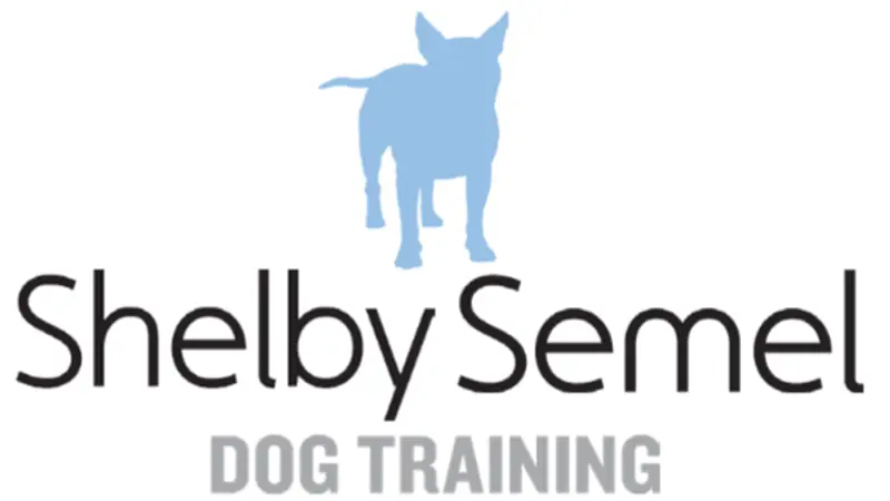 Shelby Semel Dog Training preview