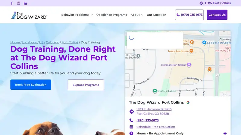 The Dog Wizard Fort Collins preview