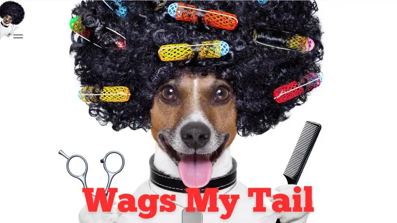 Wags My Tail Pet Grooming preview