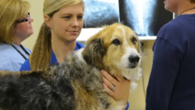 Oakley Square Animal Hospital preview