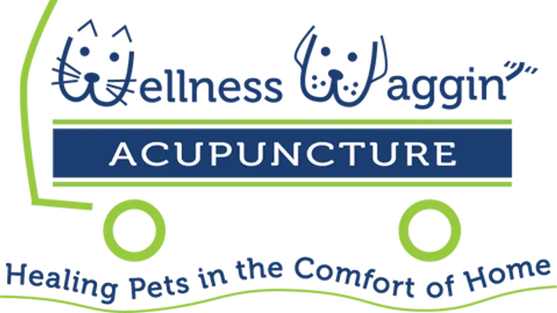 Wellness Waggin Schepps preview