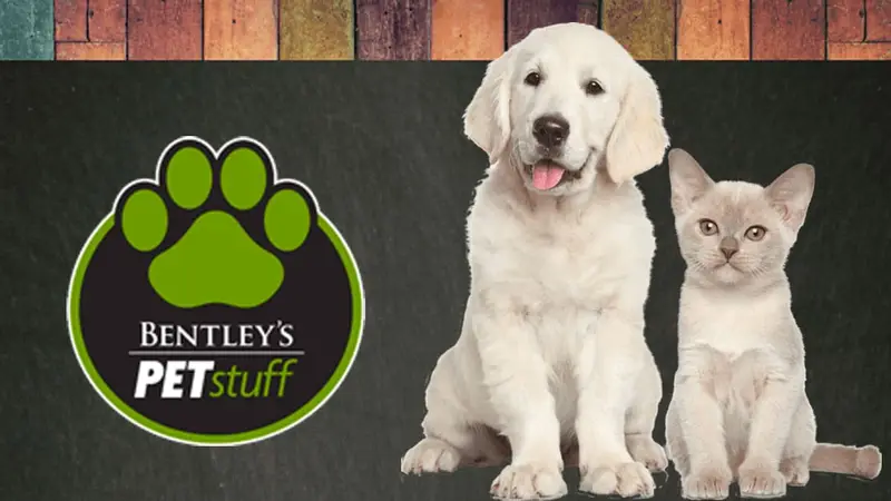 Bentley's Pet Stuff preview