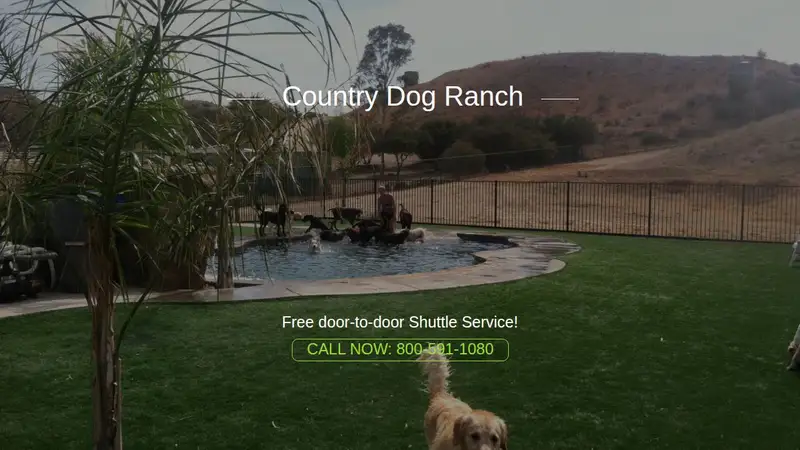 Country Dog Ranch preview