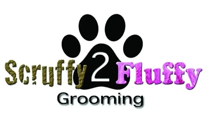 Scruffy To Fluffy preview
