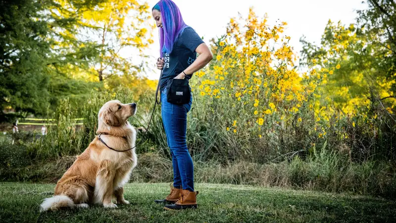 Every Dog Behavior and Training preview