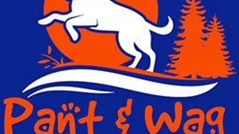 Pant & Wag: DC Dog Adventures and DC Dog Fitness preview