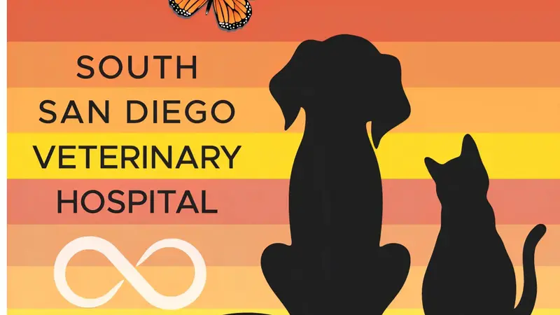 South San Diego Veterinary Hospital preview