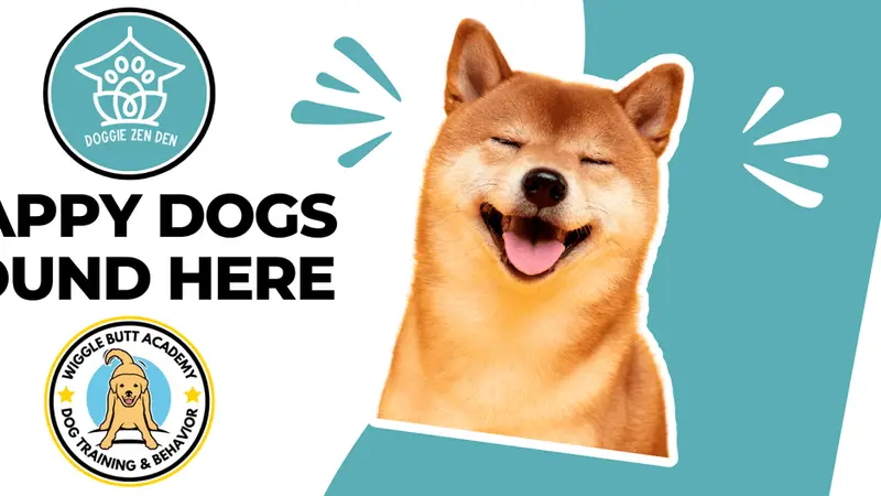 Doggie Zen Den preview