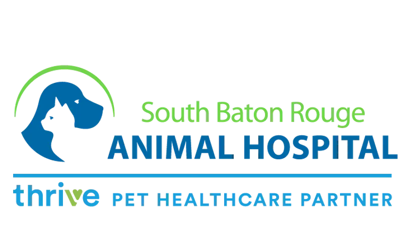 South Baton Rouge Animal Hospital preview