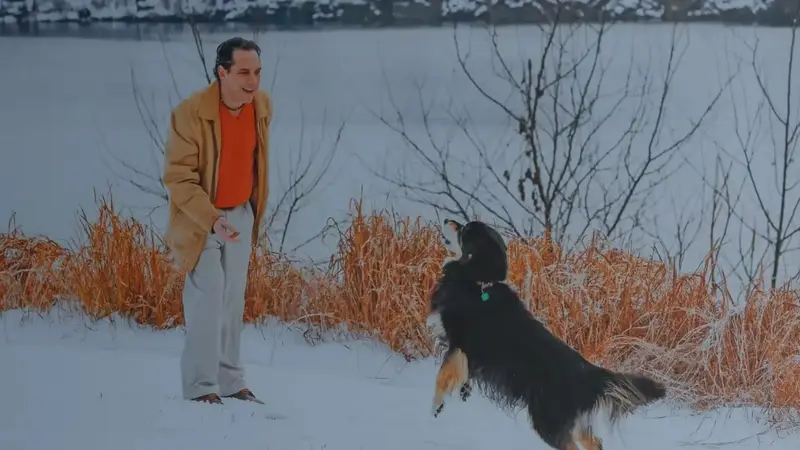 Pawsitive Paul's Dog Training preview
