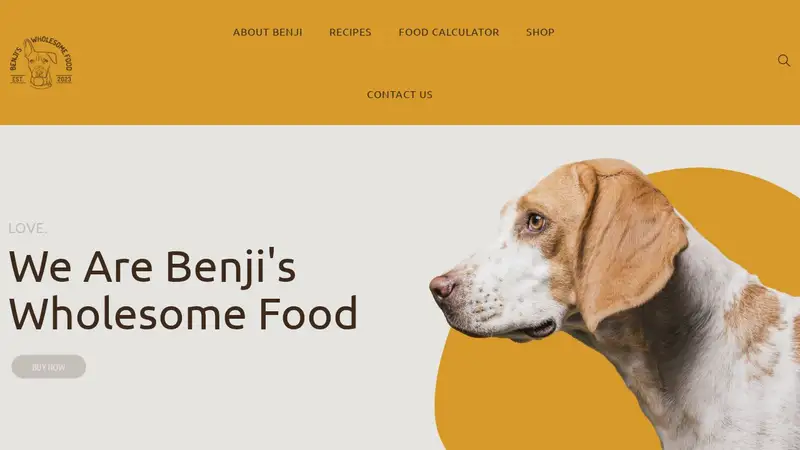 Benji’s Wholesome Food preview