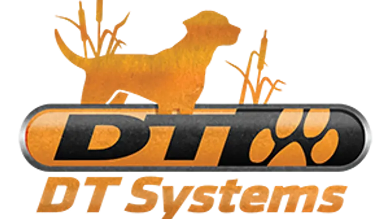 DT Systems preview