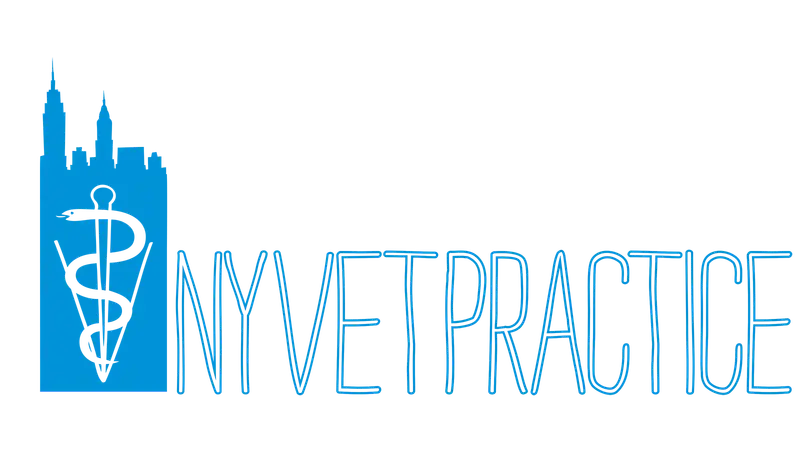 New York Veterinary Practice preview