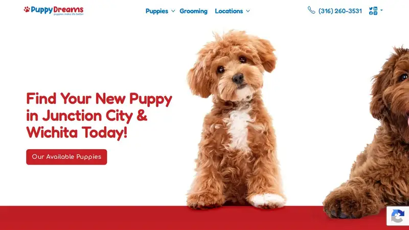 Puppy Dreams preview
