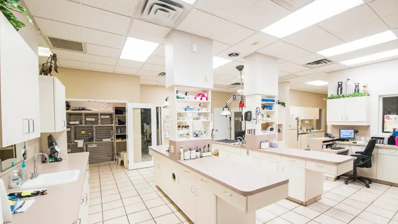 Schrag Animal Clinic preview