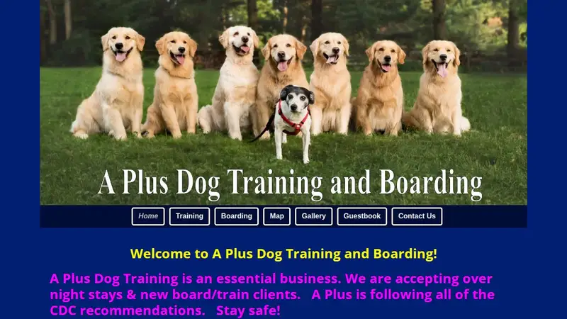 A Plus Dog Boarding and Training preview