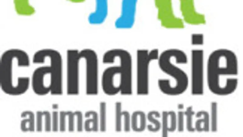 Canarsie Animal Hospital preview