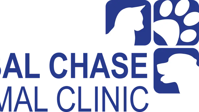 Sabal Chase Animal Clinic preview