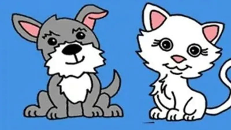 Bow Wow Pet Salon preview