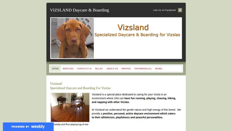 Vizsland preview