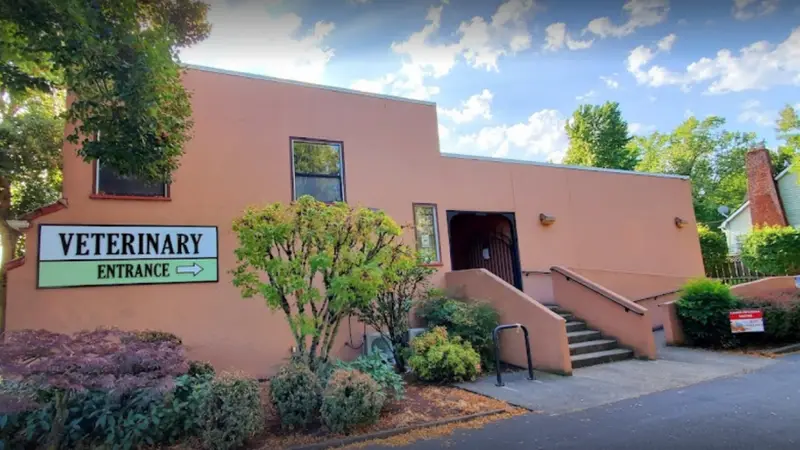 Powell Veterinary Center preview