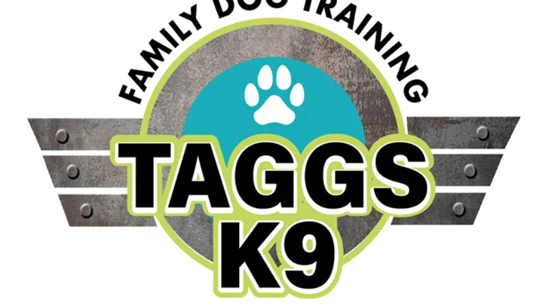 Taggs K9 Dog Training preview