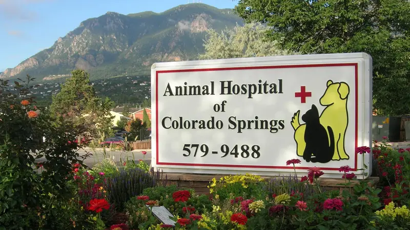 Animal Hospital of Colorado Springs preview