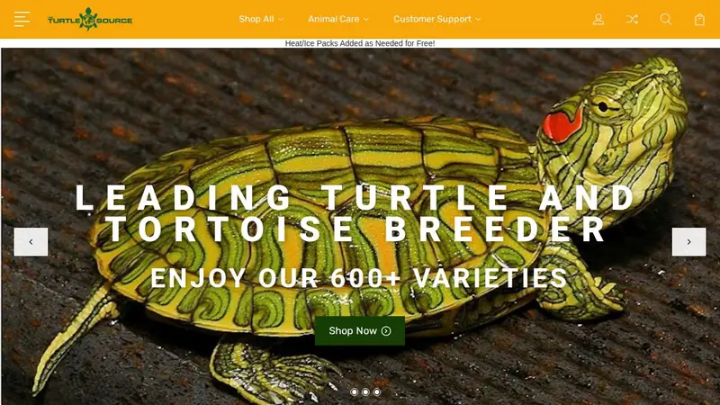 The Turtle Source preview