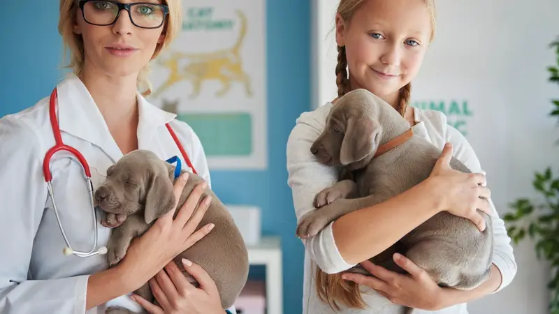 Advanced Veterinary Care preview