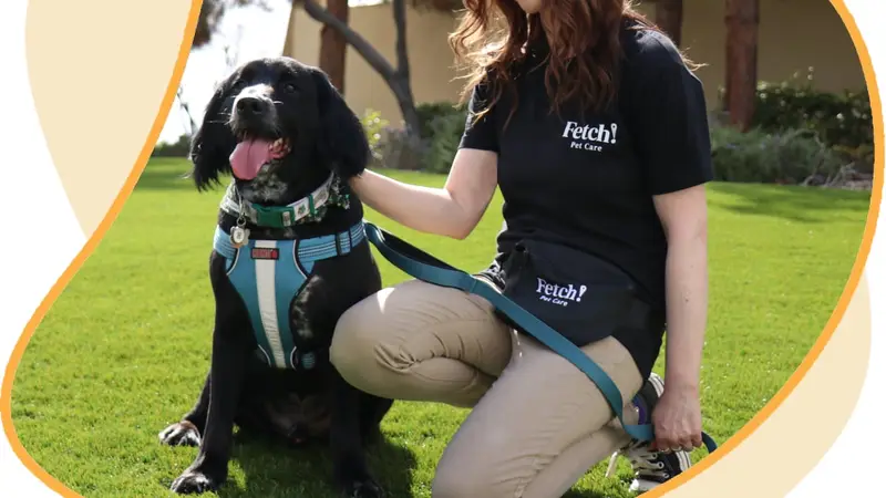 Fetch! Pet Care of Chicago preview